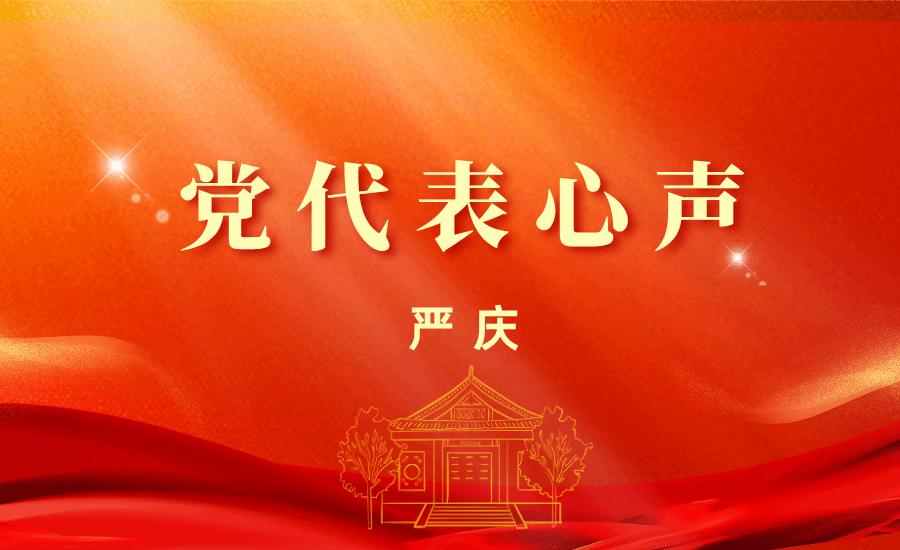 【黨代表心聲】嚴慶:定位明確,進位有路,確位有望