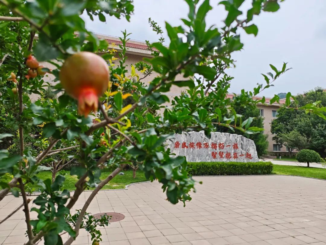 百名青年學(xué)者齊聚百望山,為建設(shè)中華民族共同體理論體系“集智”