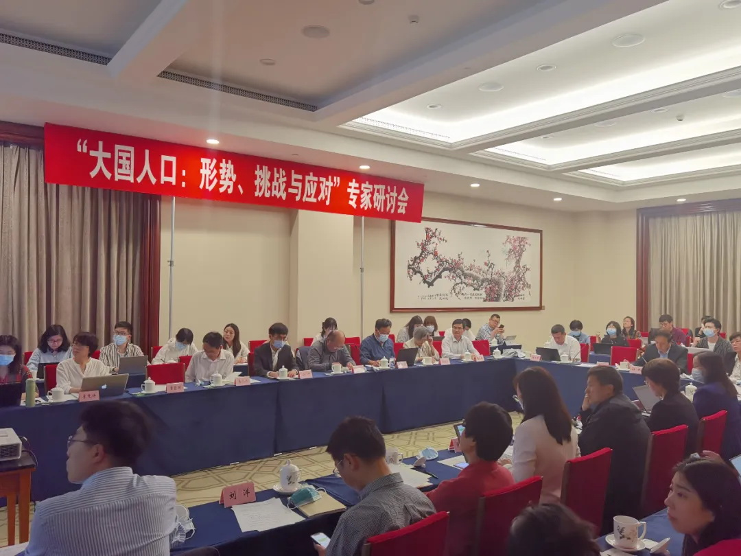理學院教師受邀參加“第七次人口普查數據專家研討會”并發表講話