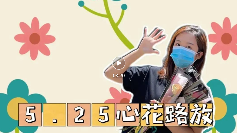 小馬快跑 | 5·25，心花“路”放！