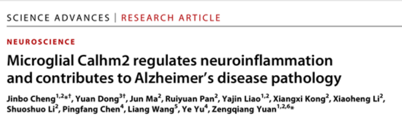 我校生命與環境科學學院教師在國際頂級期刊Science Advances發表阿爾茨海默病重要研究進展